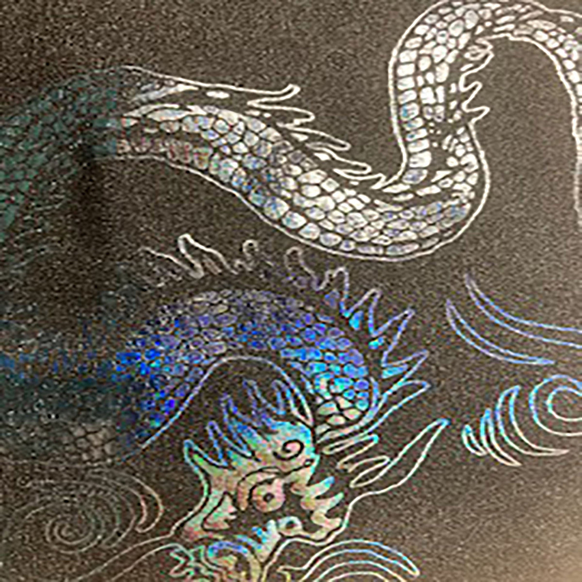 Stretch Nylon Spandex Fabric with Asian Dragon Hologram | Spandex Palace
