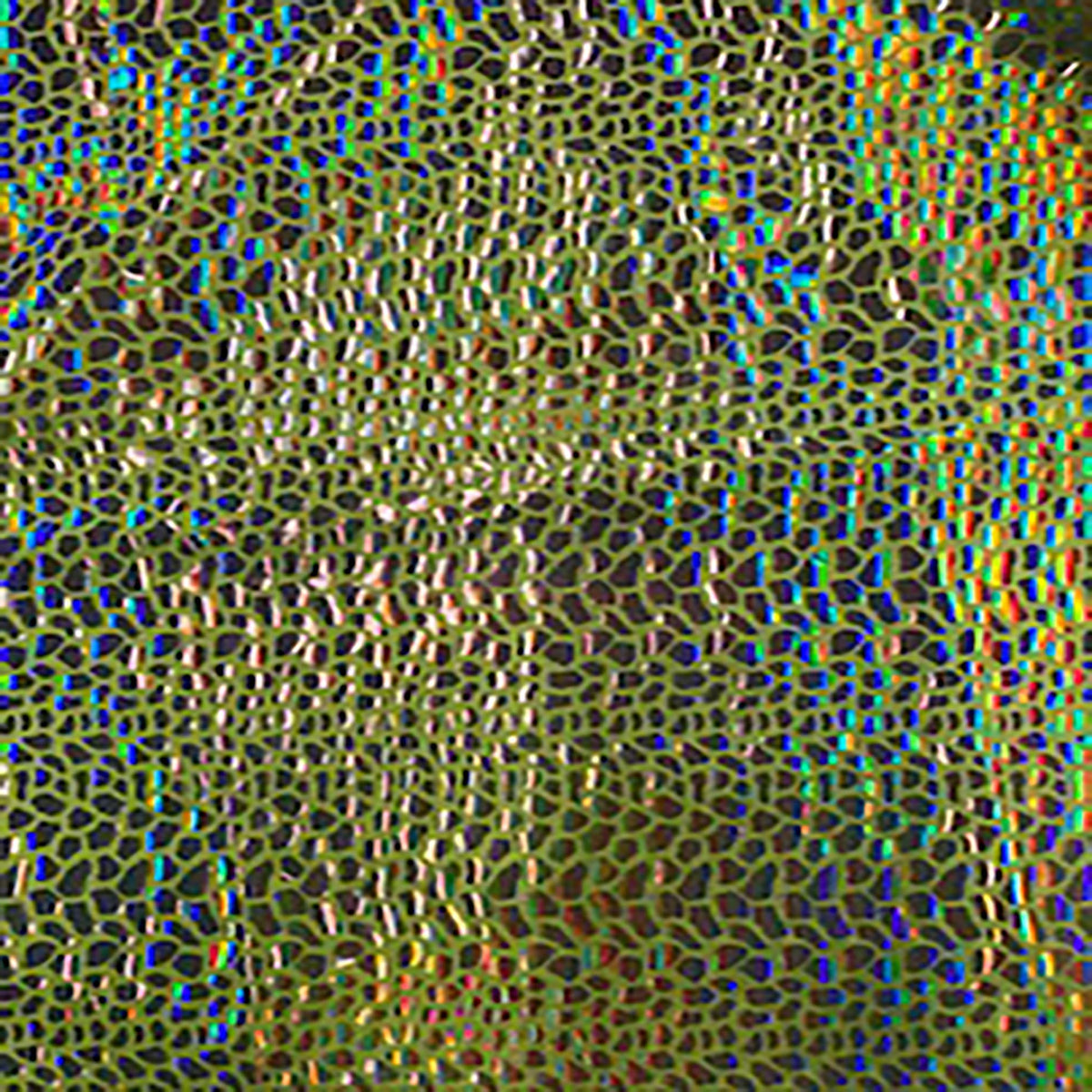 Stretch Nylon Spandex Fabric with Cobra Hologram Glued Sequin | Spandex Palace