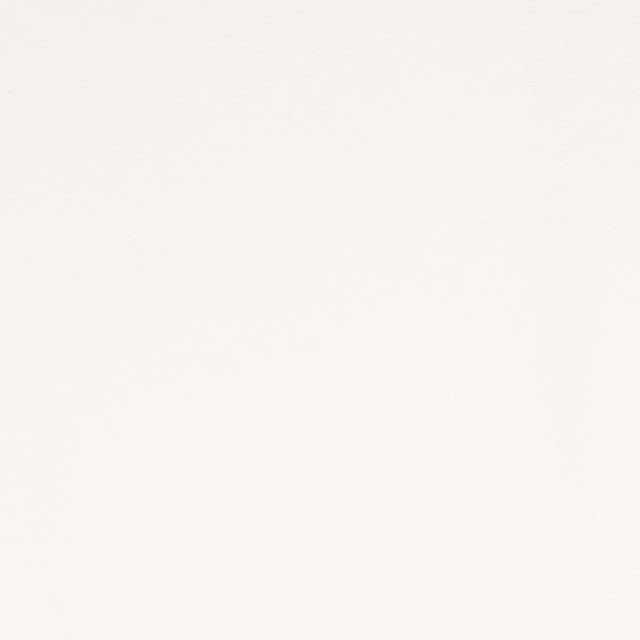 DTY Double Brushed Polyester Spandex Knit Fabric | Ivory