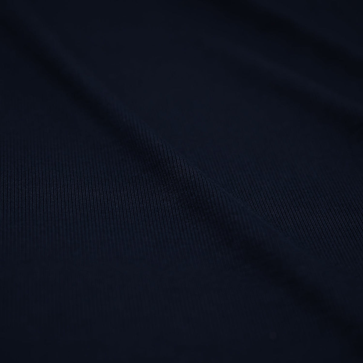 Embody Tencel Lyocell Spandex Rib Jersey Fabric | Blue Moon Fabrics