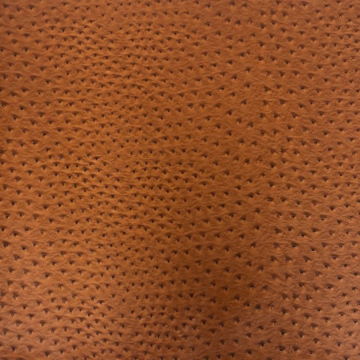 Saratoga Ostrich Faux Leather Vinyl Fabric