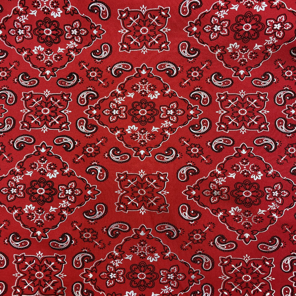 Bandana Paisley Print Spandex Fabric