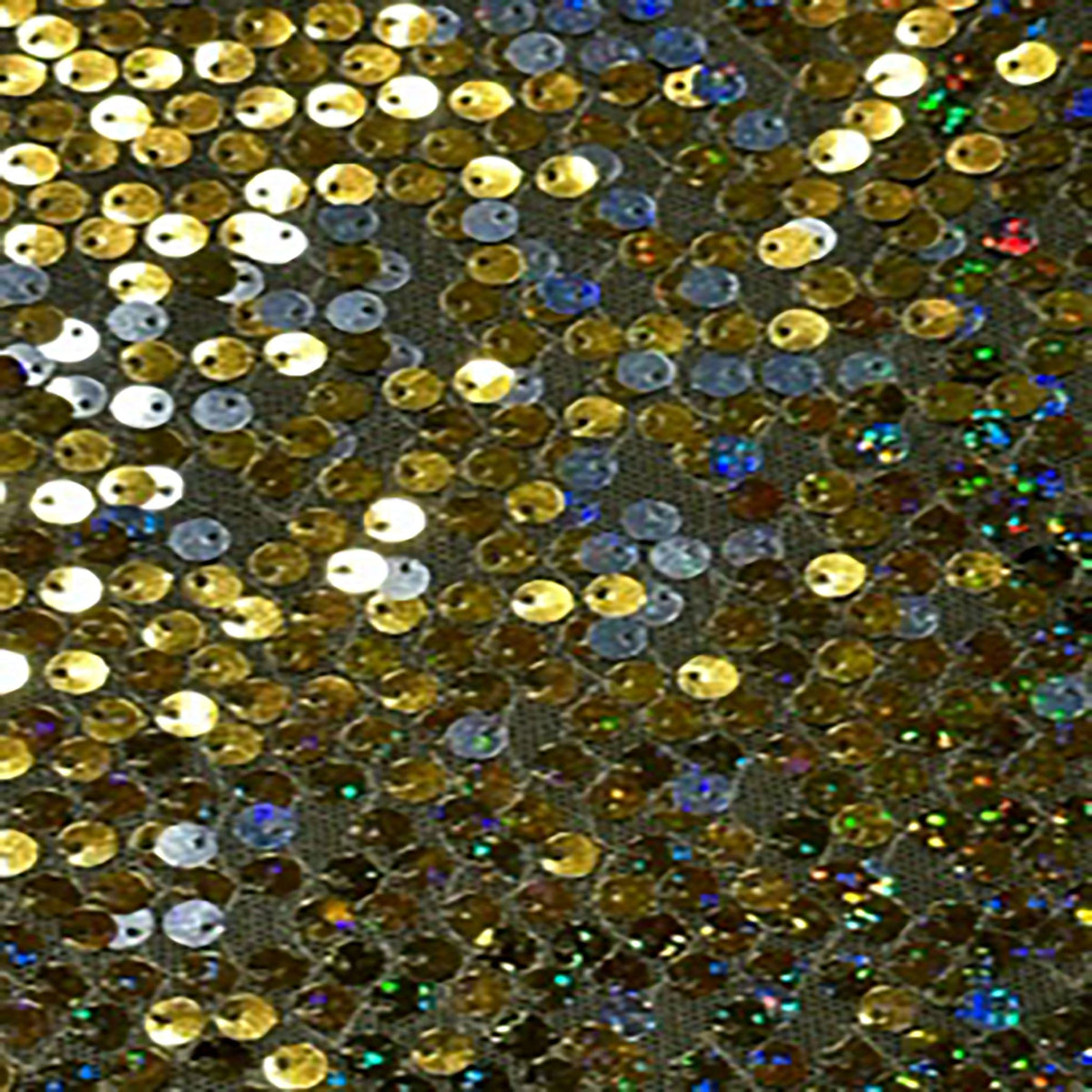 Sequin Flipper Mesh on Polyester Fabric | Spandex Palace