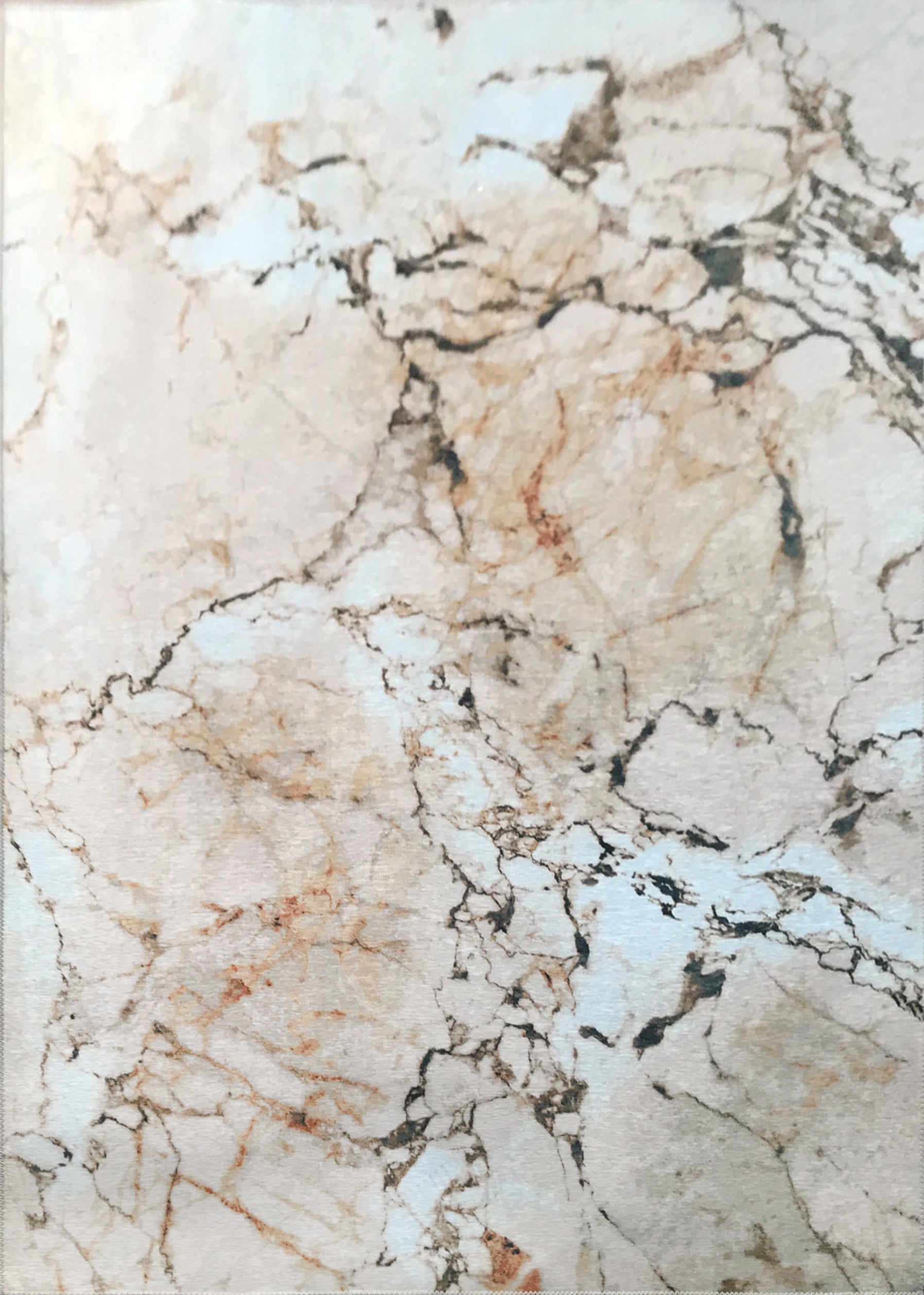 Earth Tones Vintage Marble Style Printed Area Rug/ Carpet