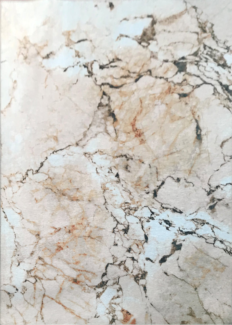 Earth Tones Vintage Marble Style Printed Area Rug/ Carpet