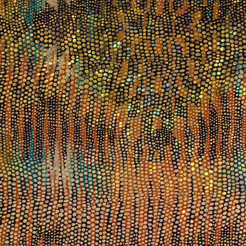 Abstract Hologram Nylon Spandex Stretch Fabric | Spandex Palace