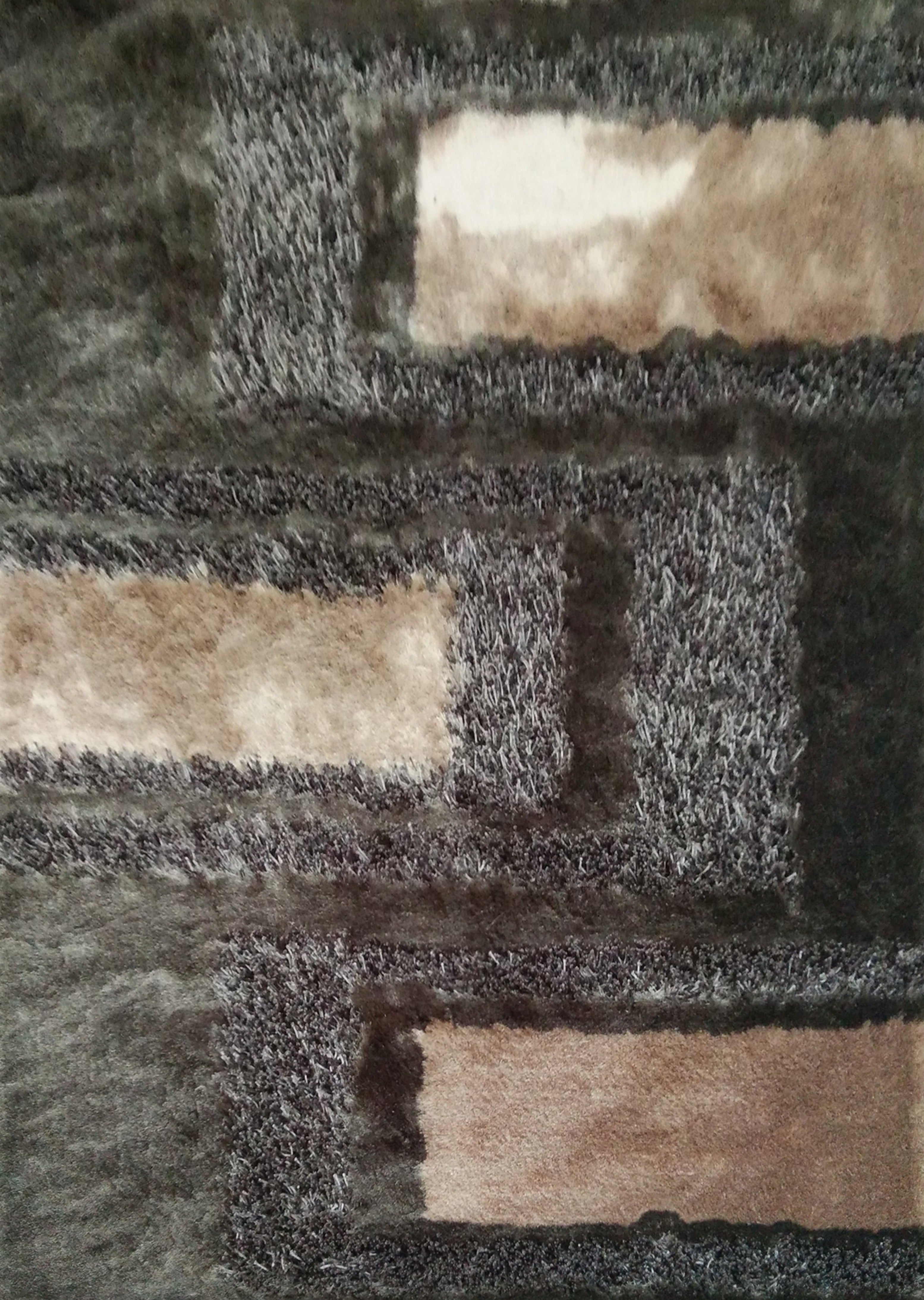 Soft Plush Fluffy Multi-textural Design Earth Tone Shag Area Rug/Carpet