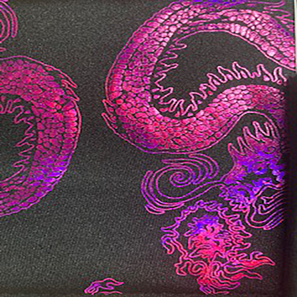 Stretch Nylon Spandex Fabric with Asian Dragon Hologram  | Spandex Palace