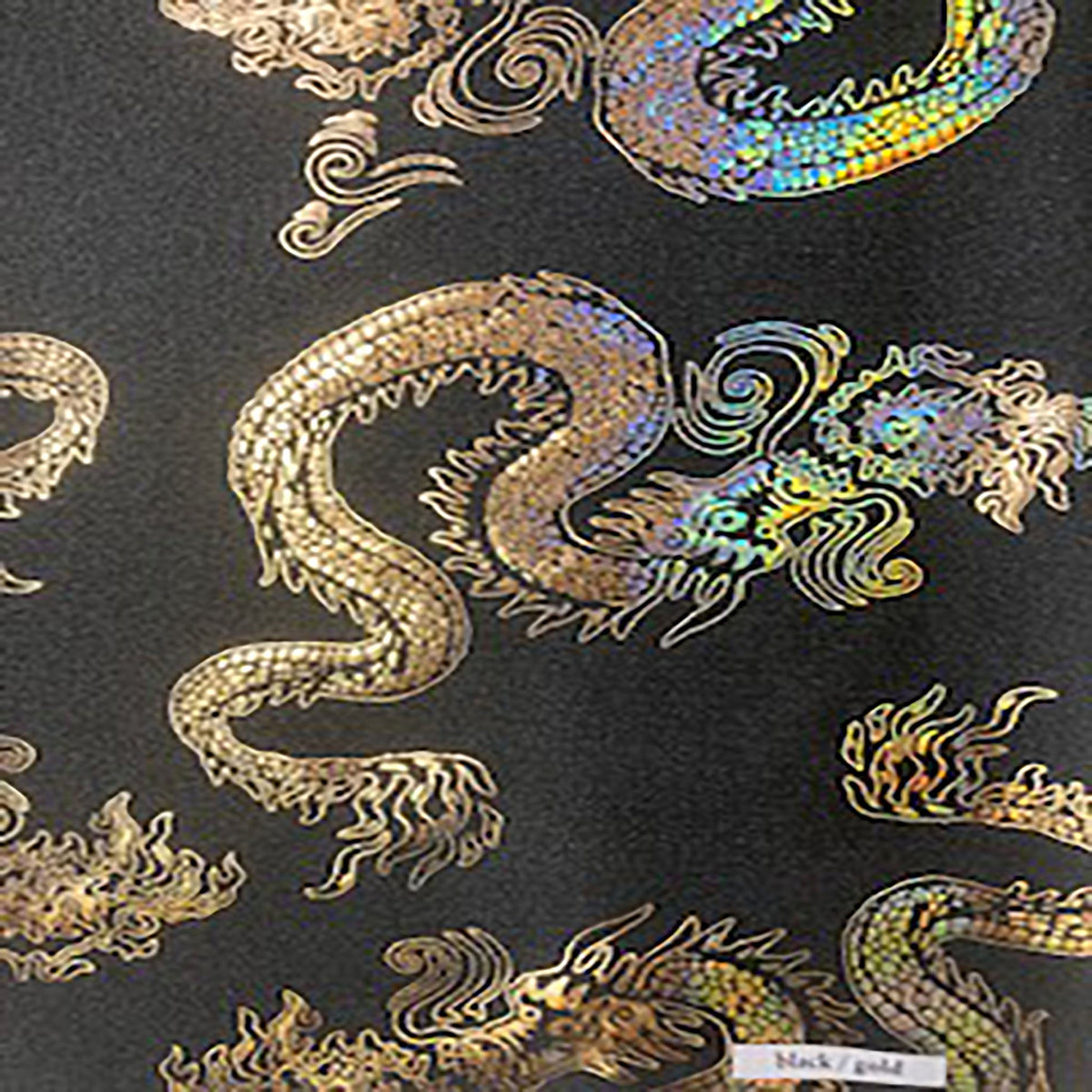 Stretch Nylon Spandex Fabric with Asian Dragon Hologram  | Spandex Palace