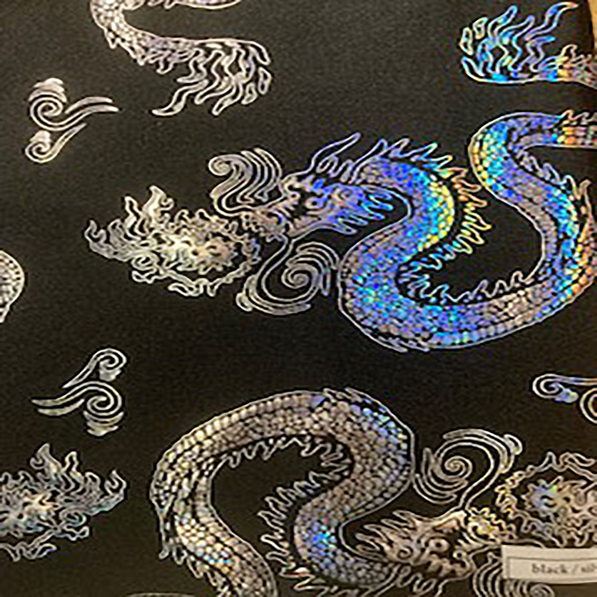 Stretch Nylon Spandex Fabric with Asian Dragon Hologram  | Spandex Palace