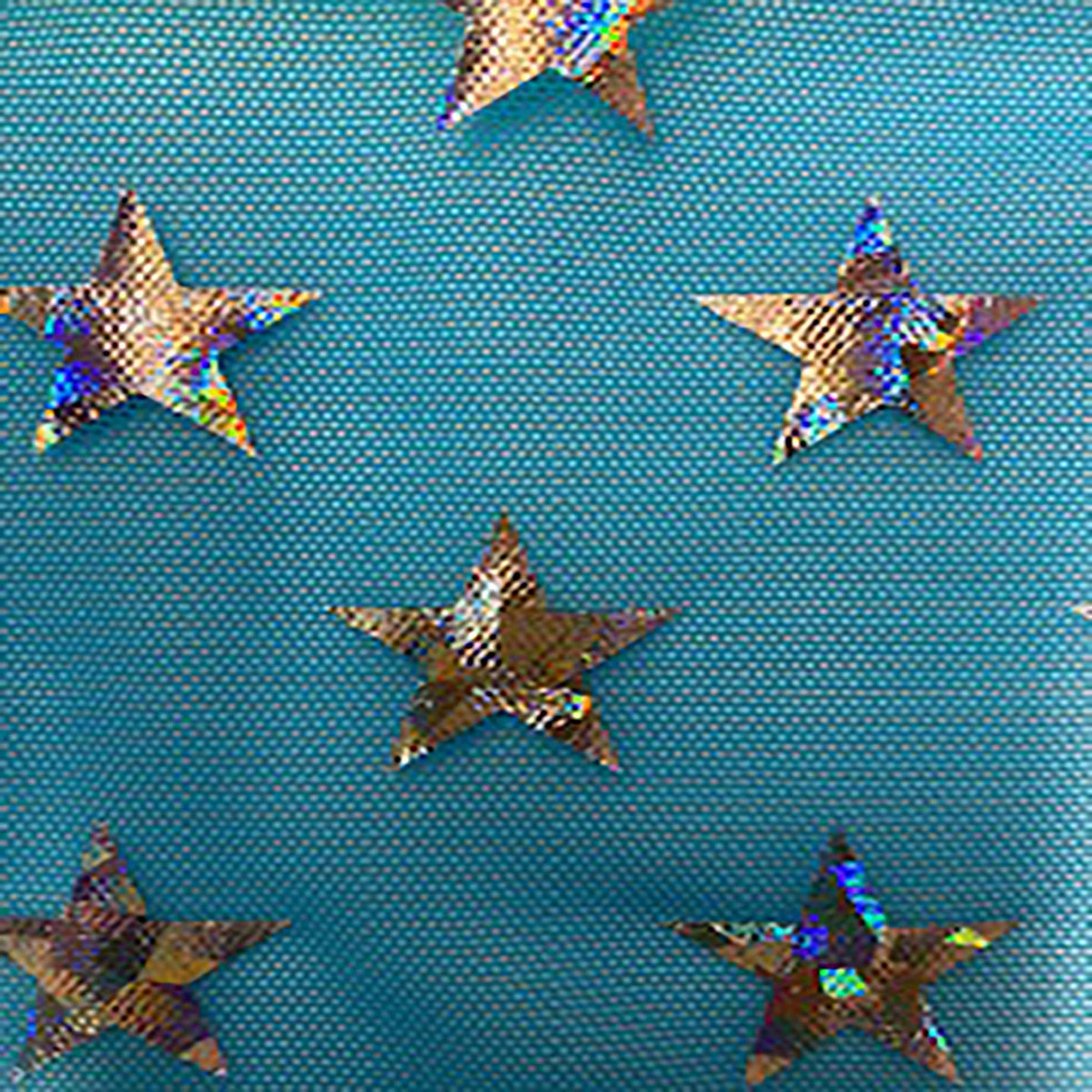 Holographic Star Power Mesh | Elite 4-Way Stretch at Spandex Palace