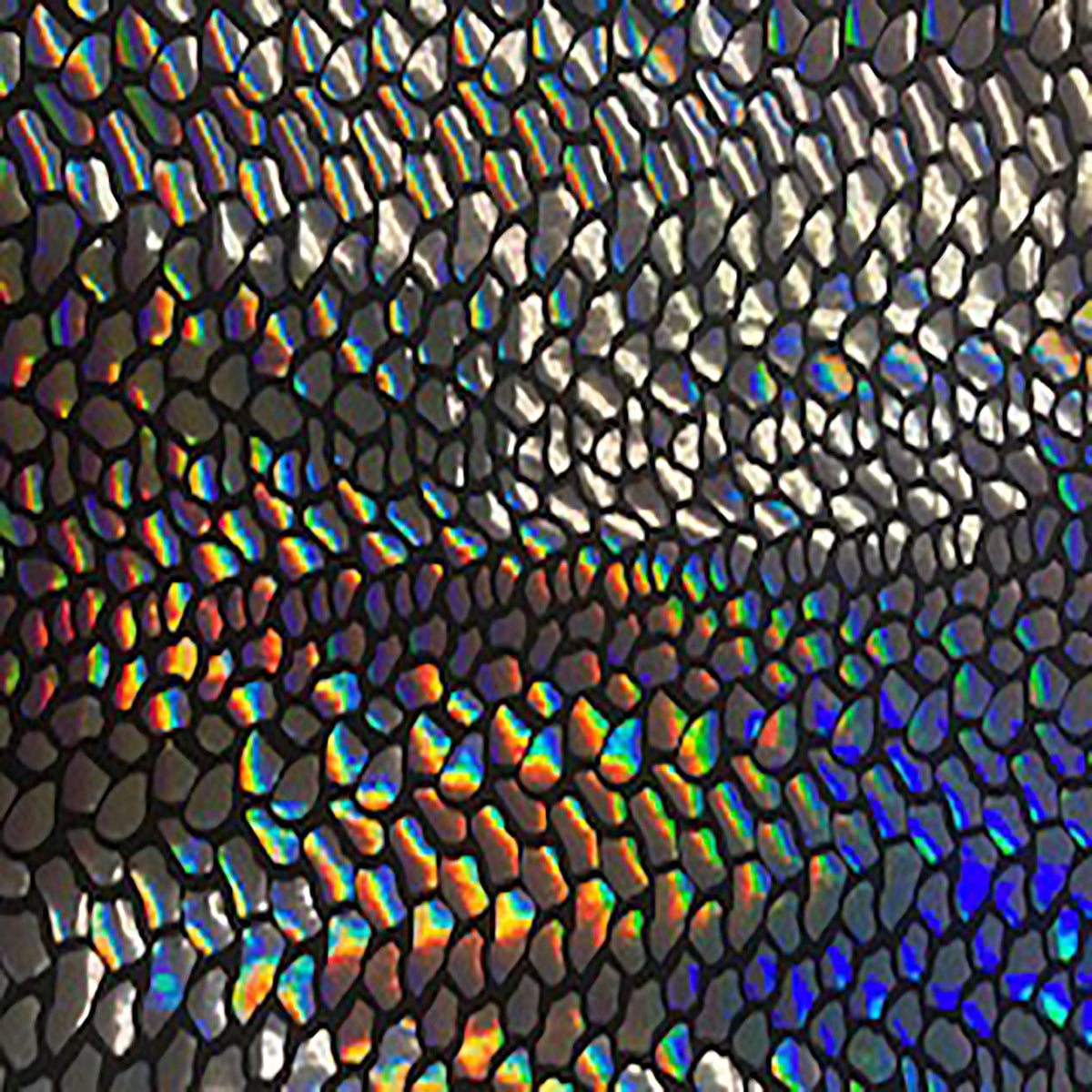 Stretch Nylon Spandex Fabric with Cobra Hologram Glued Sequin | Spandex Palace