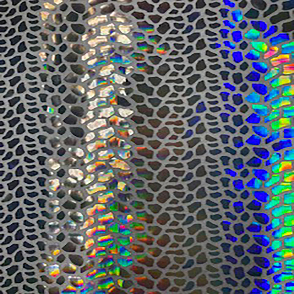 Stretch Nylon Spandex Fabric with Cobra Hologram Glued Sequin | Spandex Palace