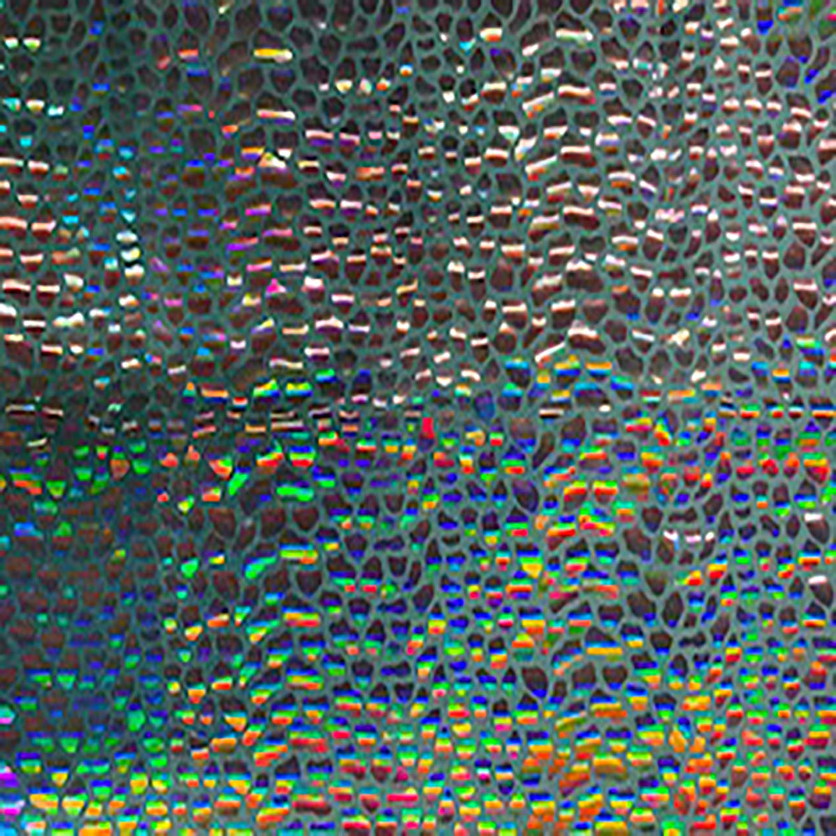 Stretch Nylon Spandex Fabric with Cobra Hologram Glued Sequin | Spandex Palace