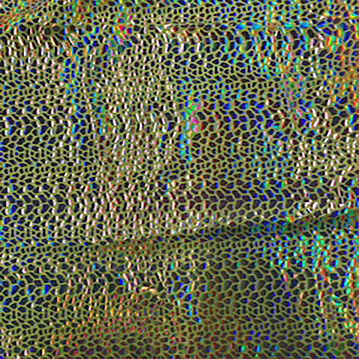 Stretch Nylon Spandex Fabric with Cobra Hologram Glued Sequin | Spandex Palace