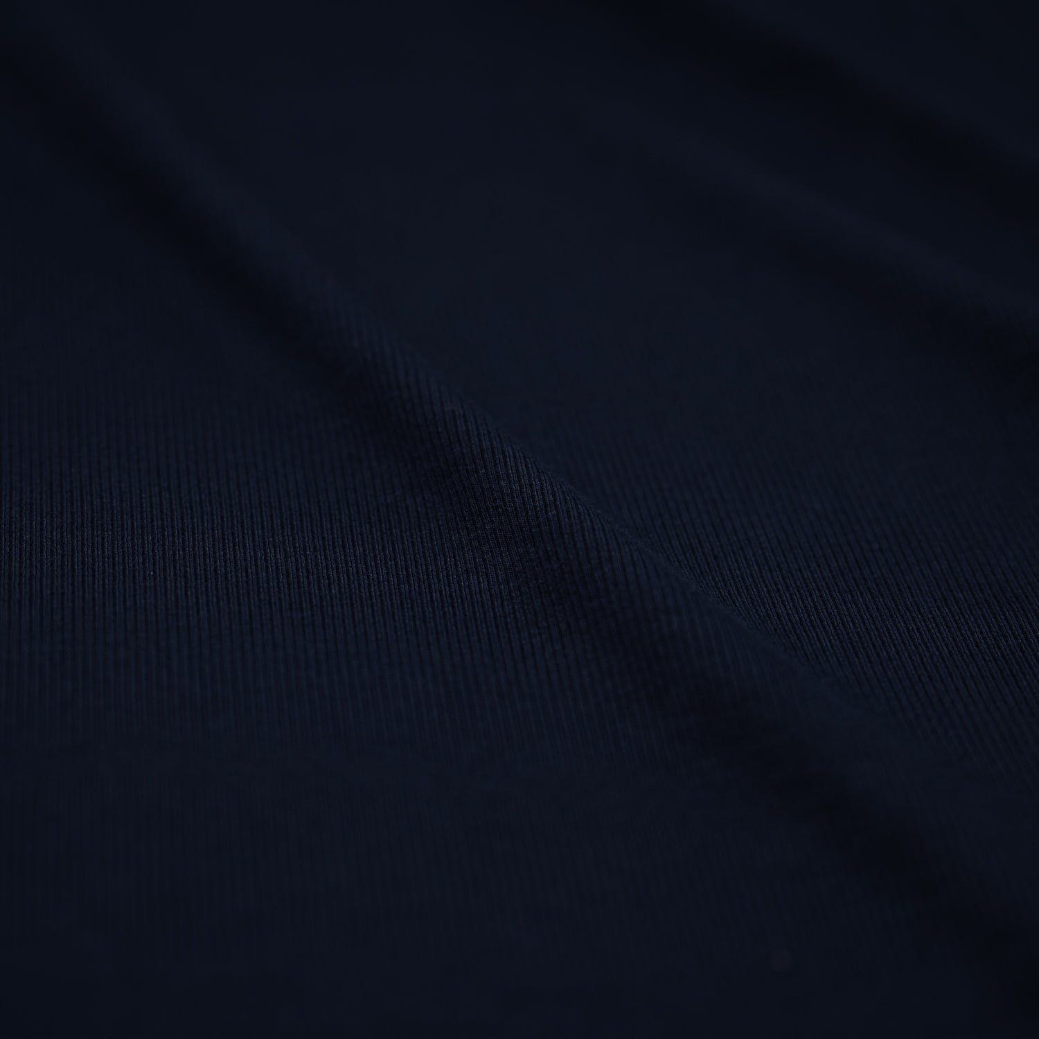 Embody Tencel Lyocell Spandex Rib Jersey Fabric | Blue Moon Fabrics