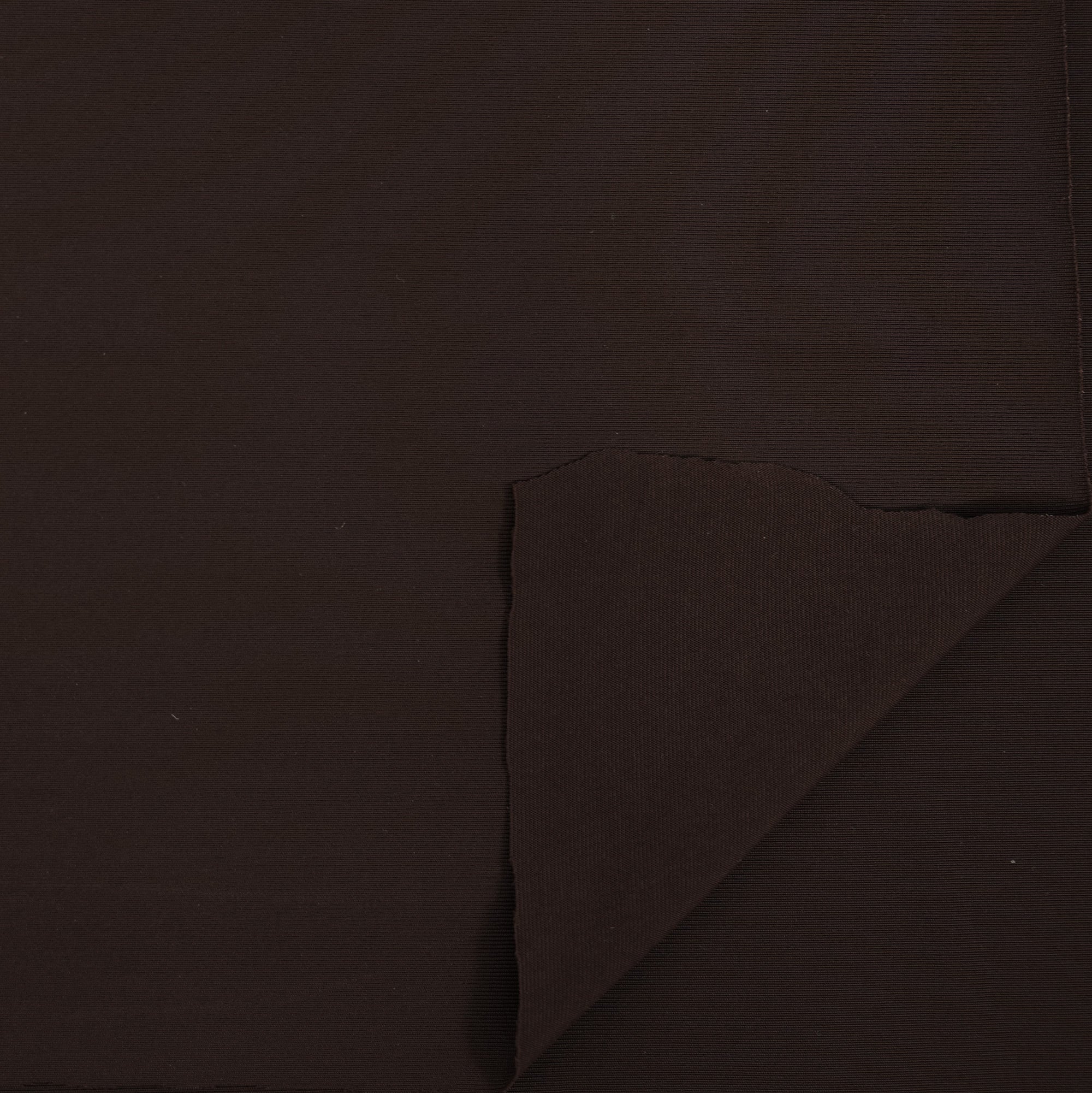 Feather Microfiber Nylon Spandex Jersey Fabric | Blue Moon Fabrics