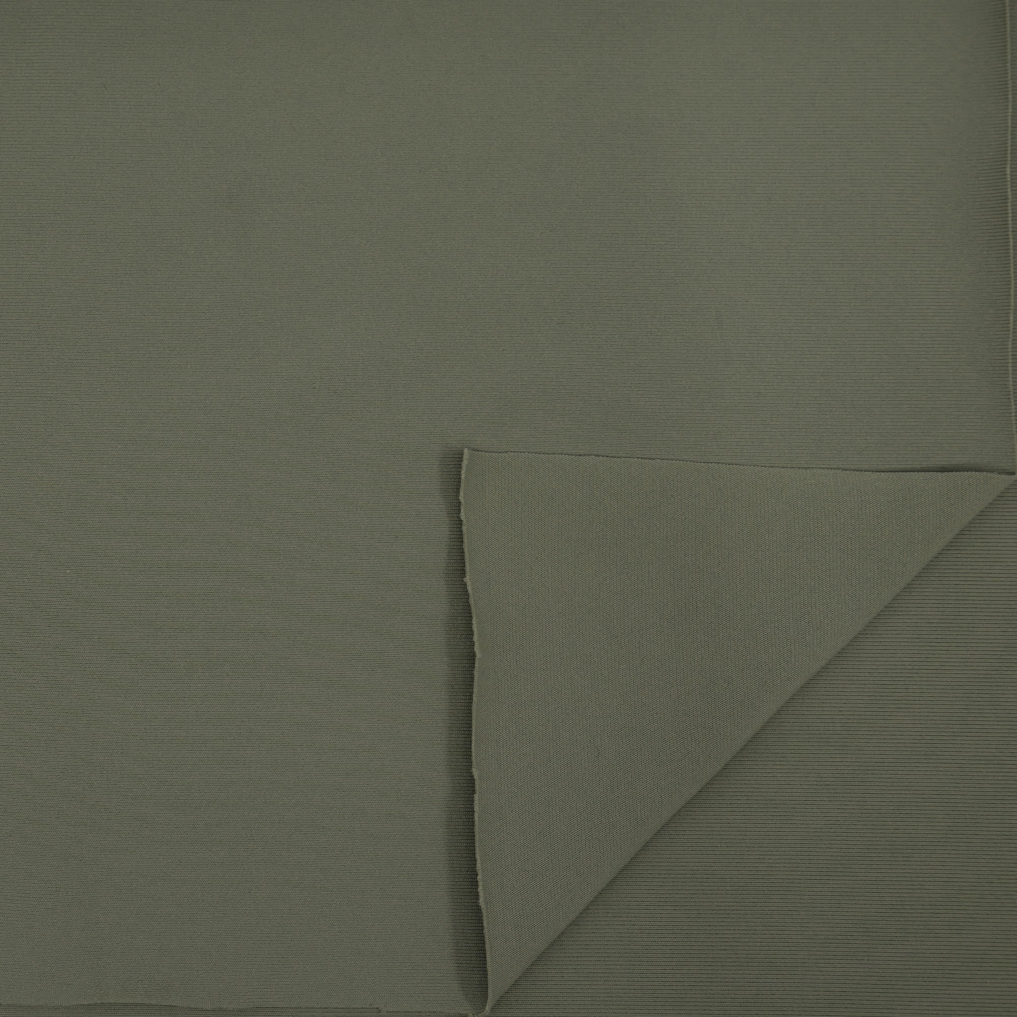 Feather Microfiber Nylon Spandex Jersey Fabric | Blue Moon Fabrics