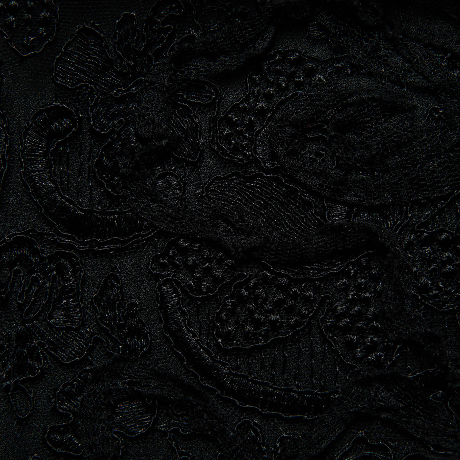 Tulle Lace Fabric Embroidery with Tape Work and Intricate Design 52" Wide | Exquisite Fabric