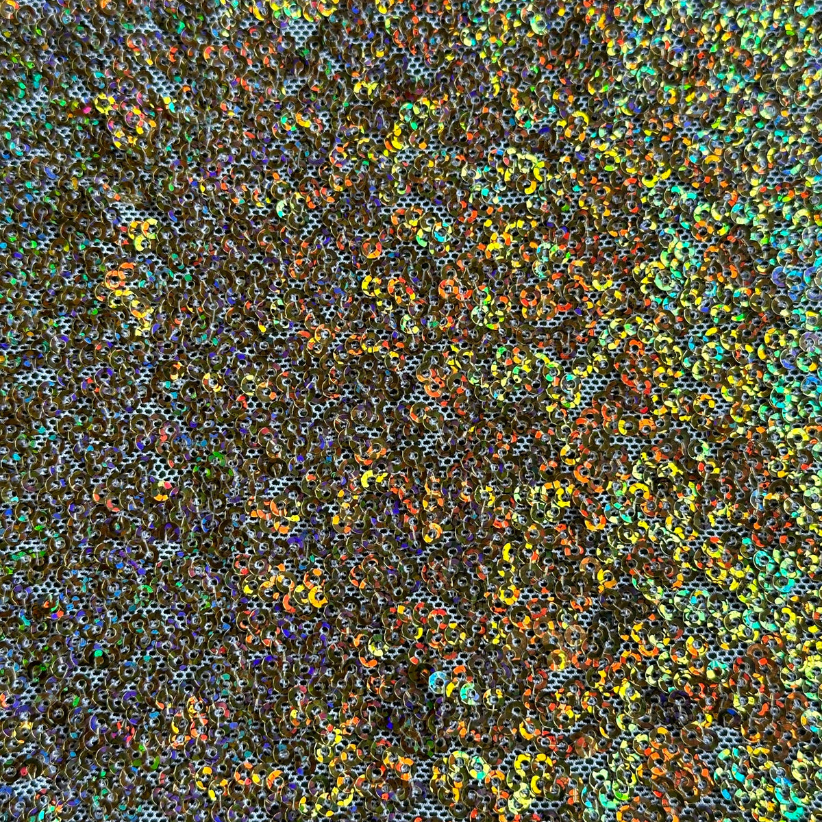 Sequins Stretch Glitz Power Mesh Dancewear  Fabric  | Spandex Palace