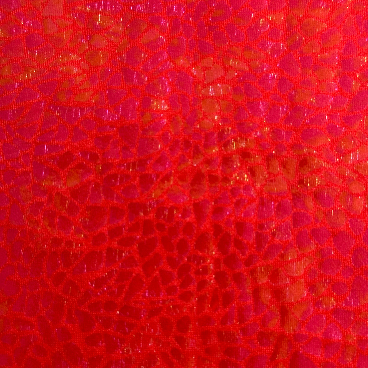Radiant Gator | 4-Way Custom Designer Prism Flex | Spandex Palace