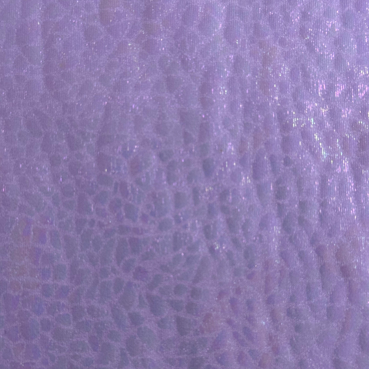 Radiant Gator | 4-Way Custom Designer Prism Flex | Spandex Palace