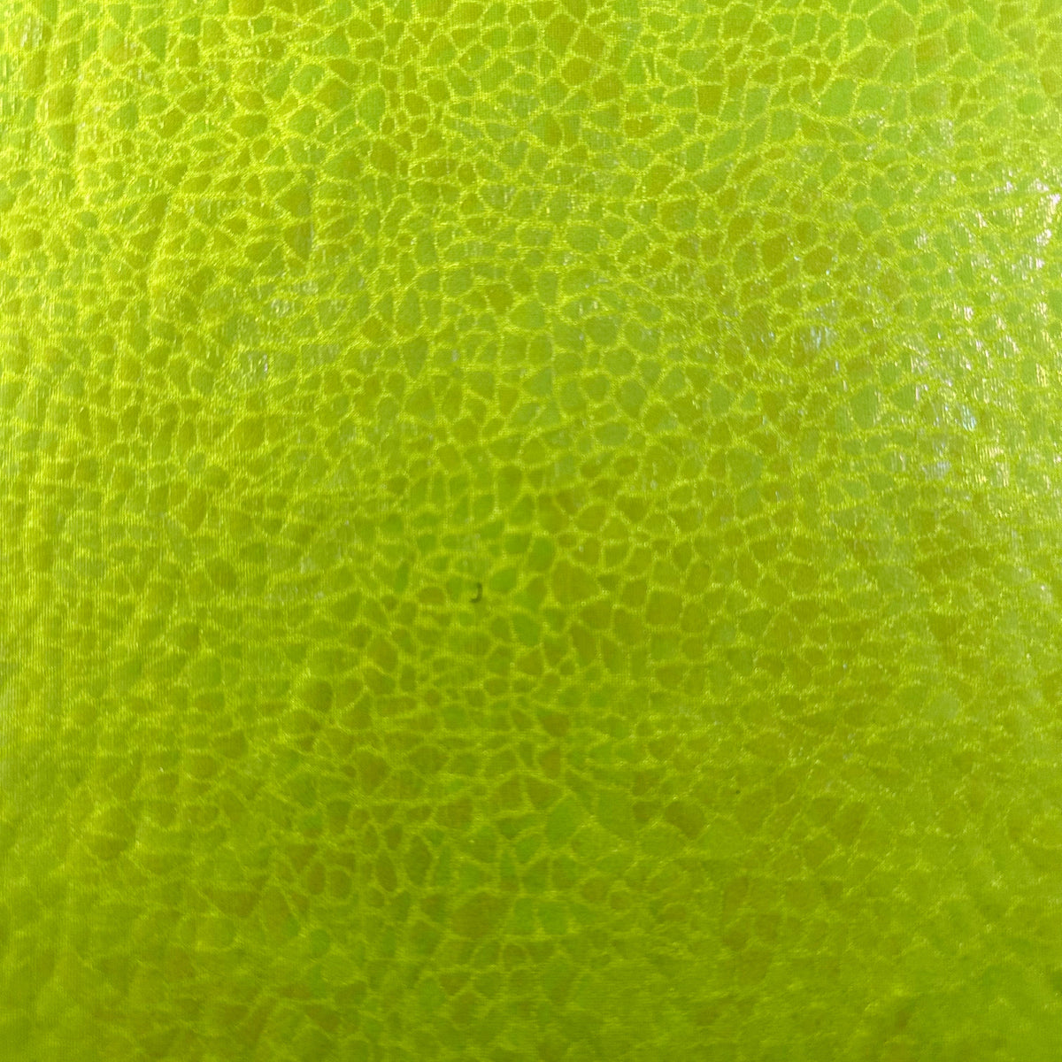 Radiant Gator | 4-Way Custom Designer Prism Flex | Spandex Palace