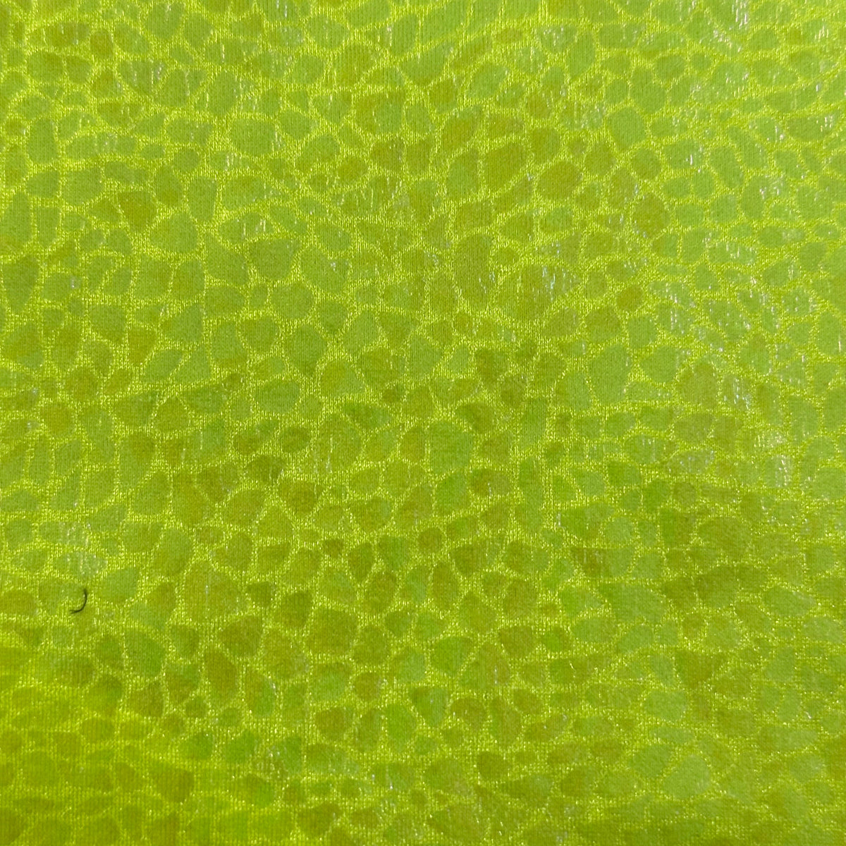 Radiant Gator | 4-Way Custom Designer Prism Flex | Spandex Palace