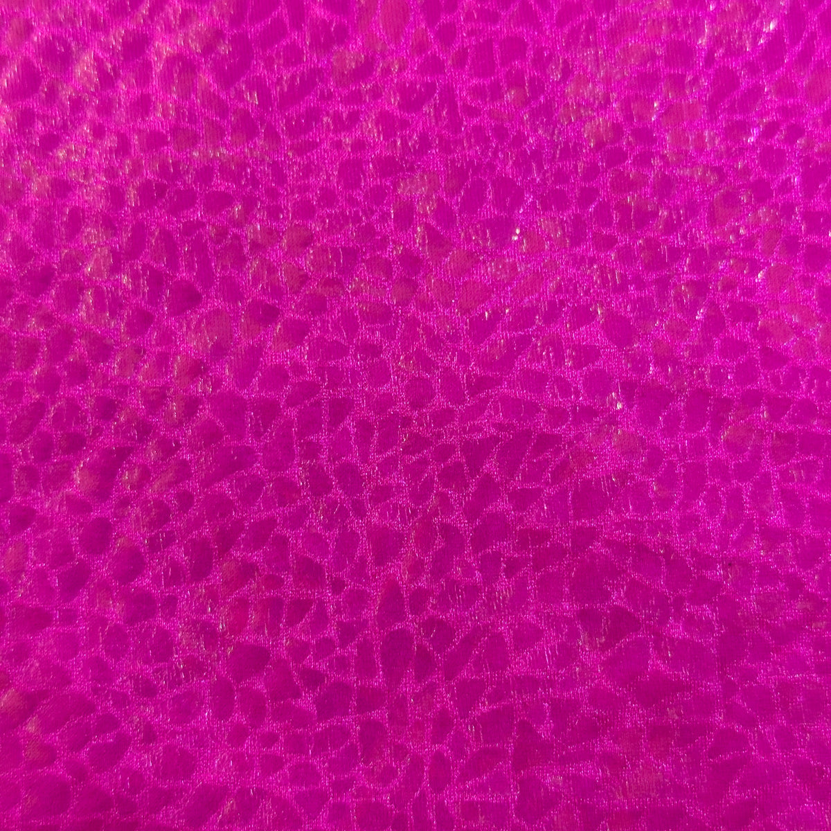 Radiant Gator | 4-Way Custom Designer Prism Flex | Spandex Palace