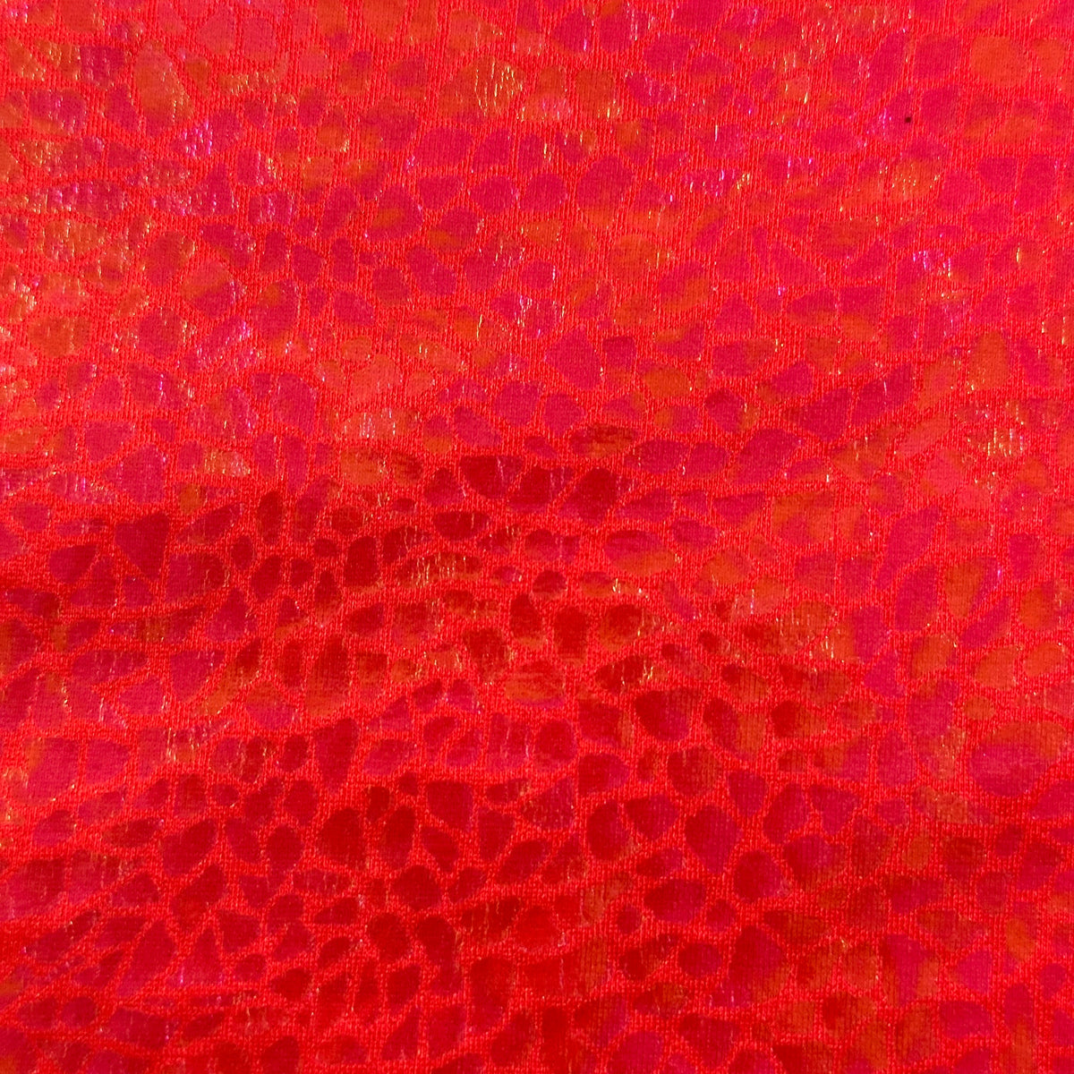 Radiant Gator | 4-Way Custom Designer Prism Flex | Spandex Palace