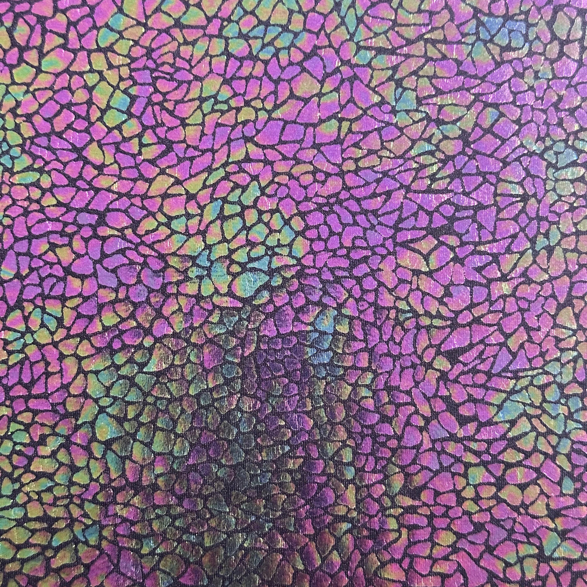 Radiant Gator | 4-Way Custom Designer Prism Flex | Spandex Palace