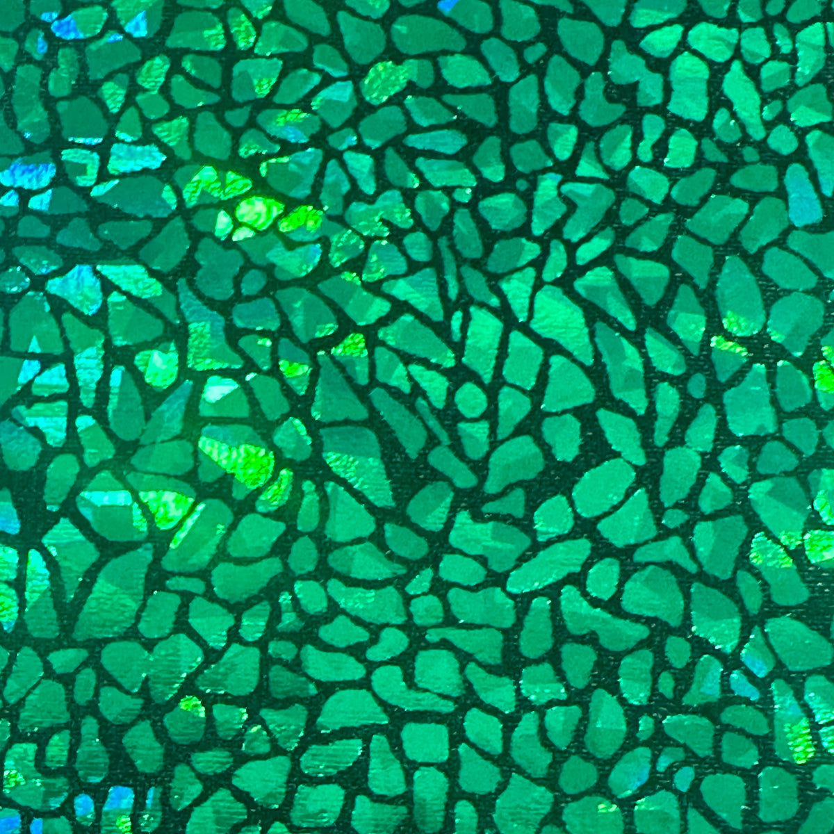 Radiant Gator | 4-Way Custom Designer Prism Flex | Spandex Palace
