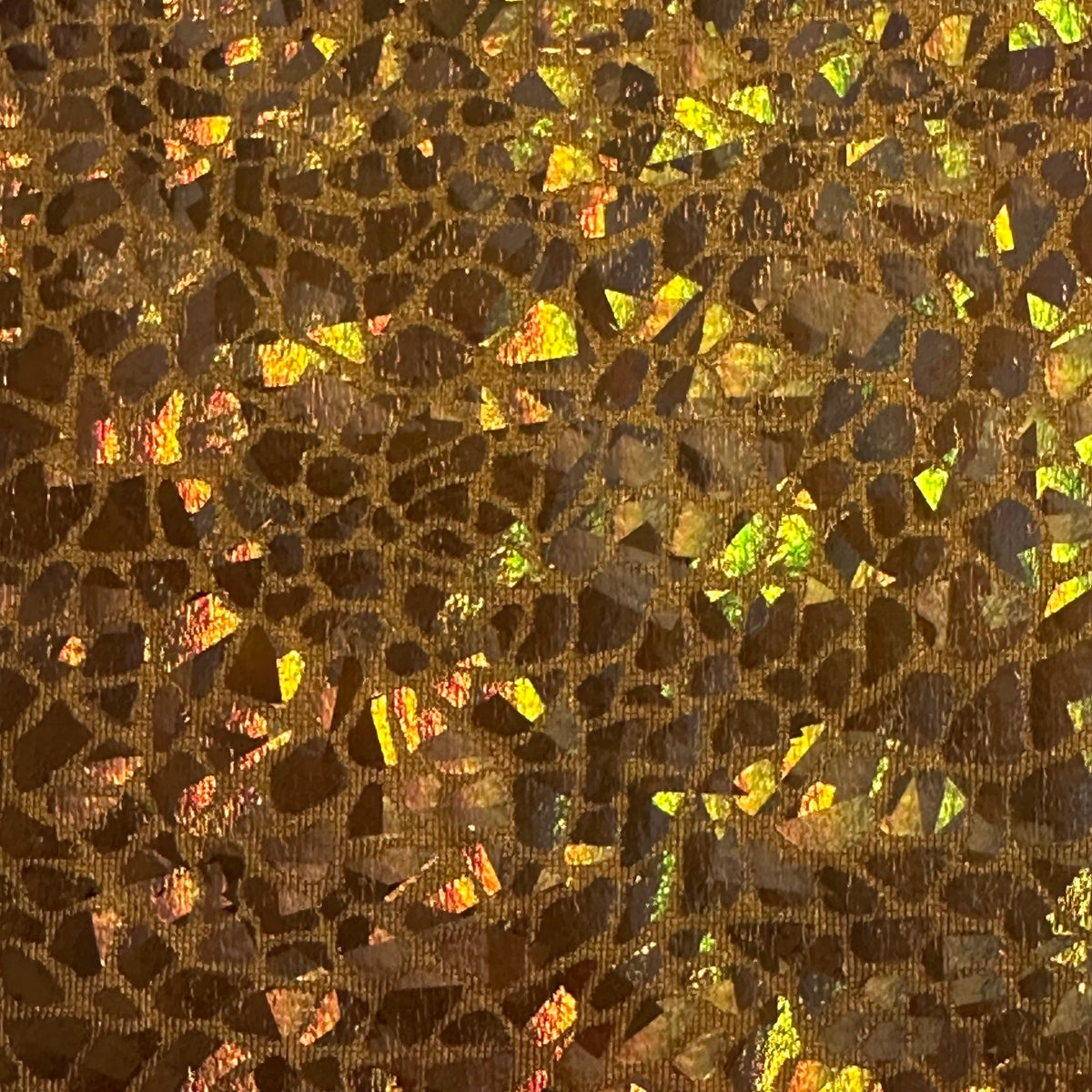 Radiant Gator | 4-Way Custom Designer Prism Flex | Spandex Palace