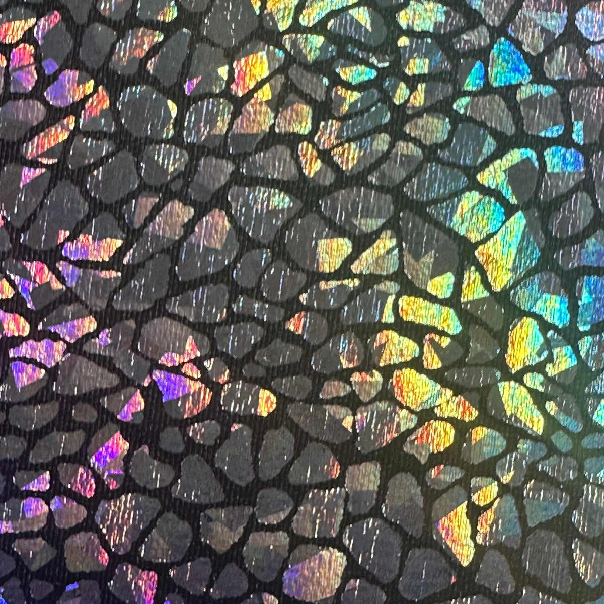 Radiant Gator | 4-Way Custom Designer Prism Flex | Spandex Palace