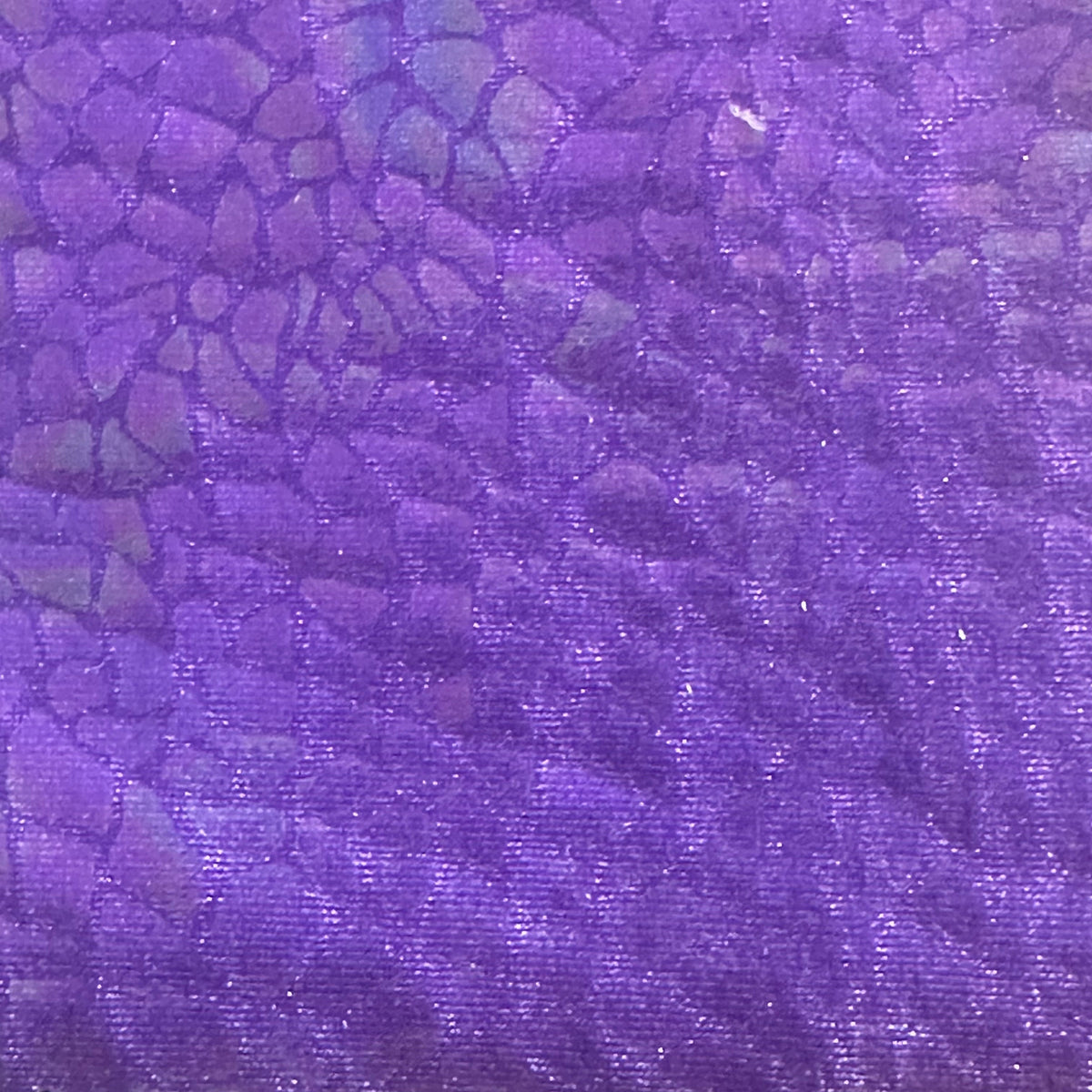 Radiant Gator | 4-Way Custom Designer Prism Flex | Spandex Palace