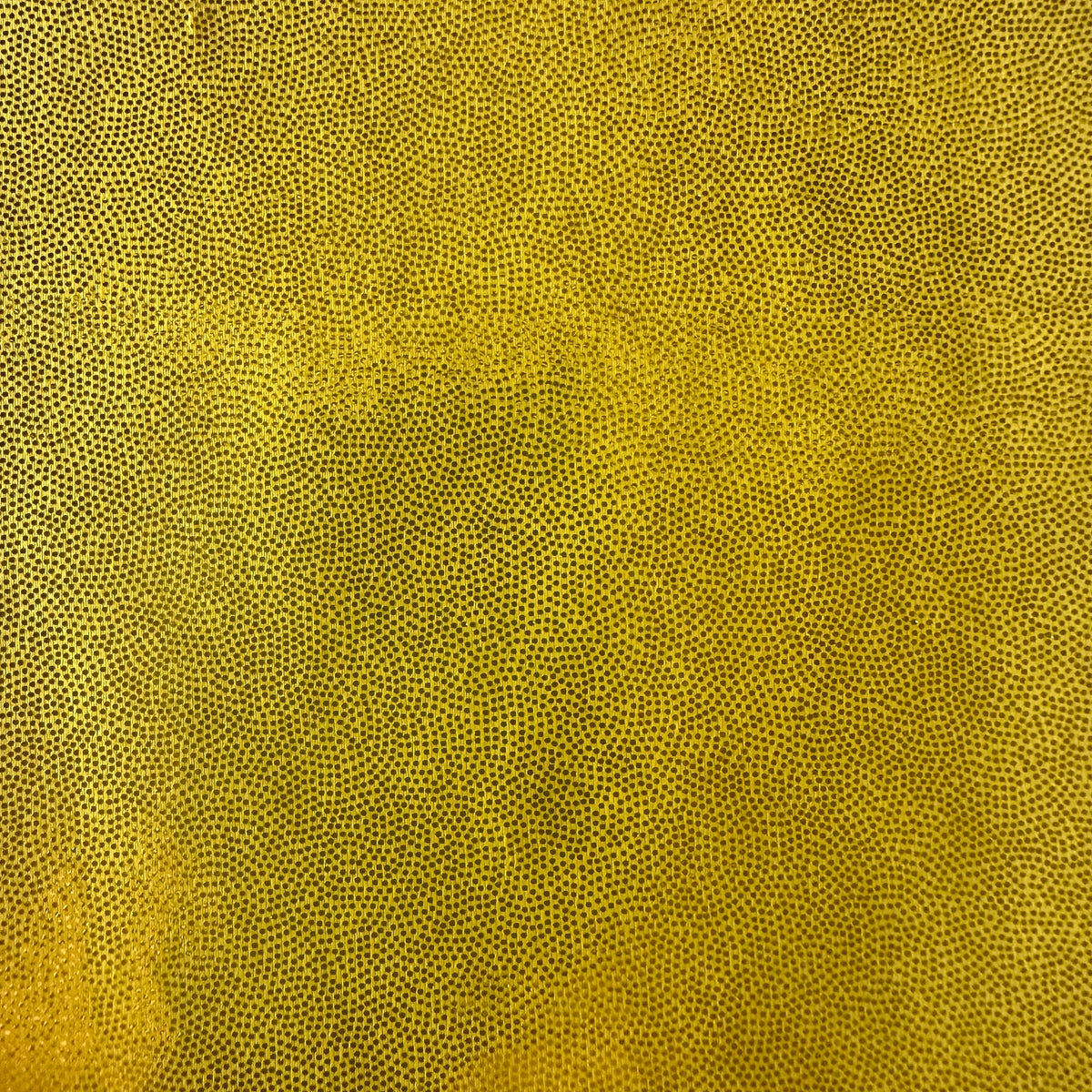 Foggy Foil on Stretch Poly Spandex Fabric  |Spandex Palace