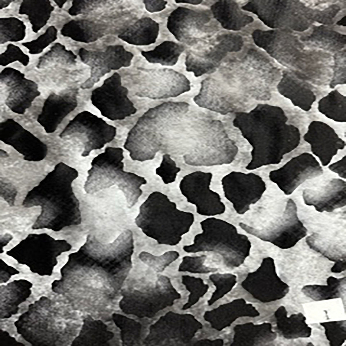 Cotton Cloud Print on Flex Polyester Spandex Fabric | Spandex Palace