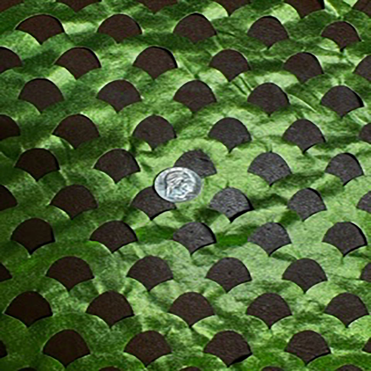 Laser-Cut Shell 2-Way Polyester Spandex Stretch Fabric| Spandex Palace