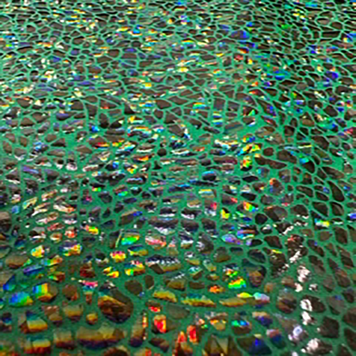 Radiant Gator | 4-Way Custom Designer Prism Flex | Spandex Palace