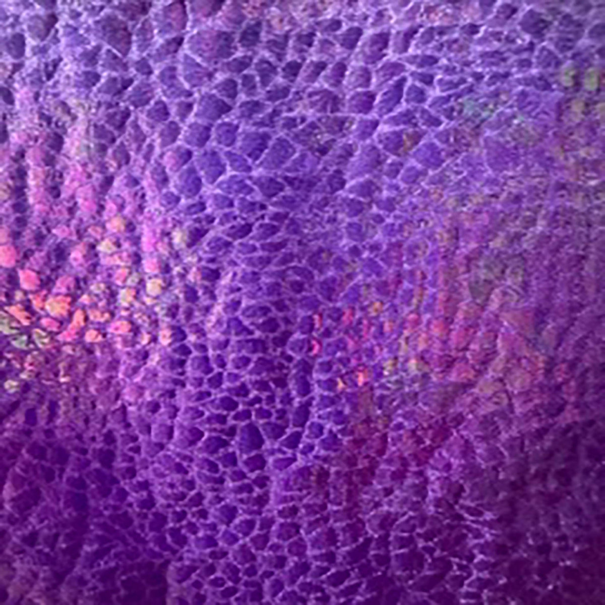 Radiant Gator | 4-Way Custom Designer Prism Flex | Spandex Palace