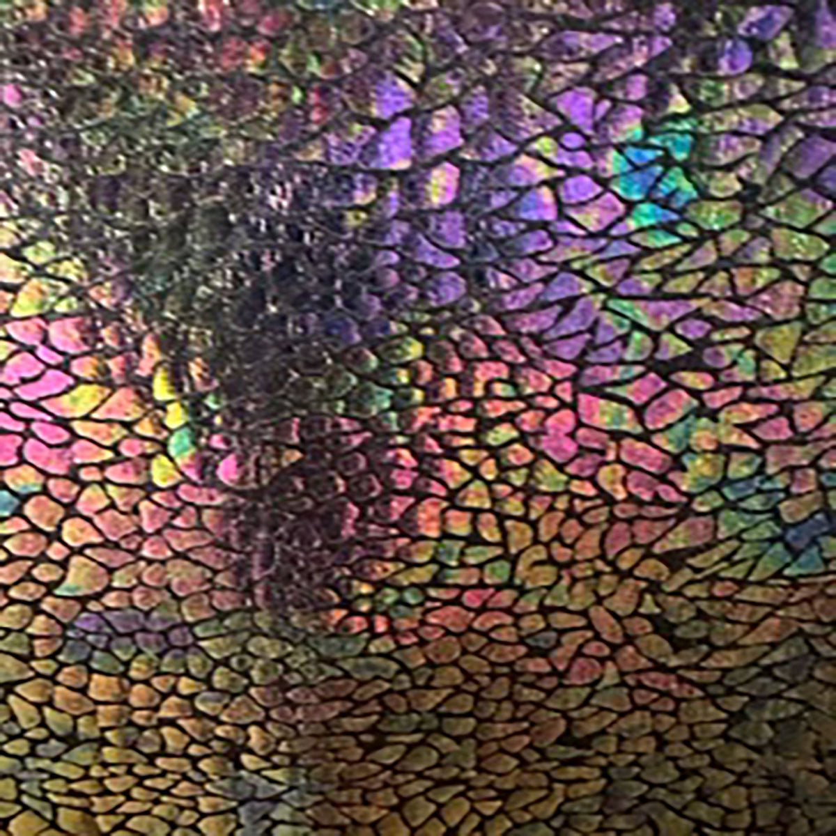 Radiant Gator | 4-Way Custom Designer Prism Flex | Spandex Palace