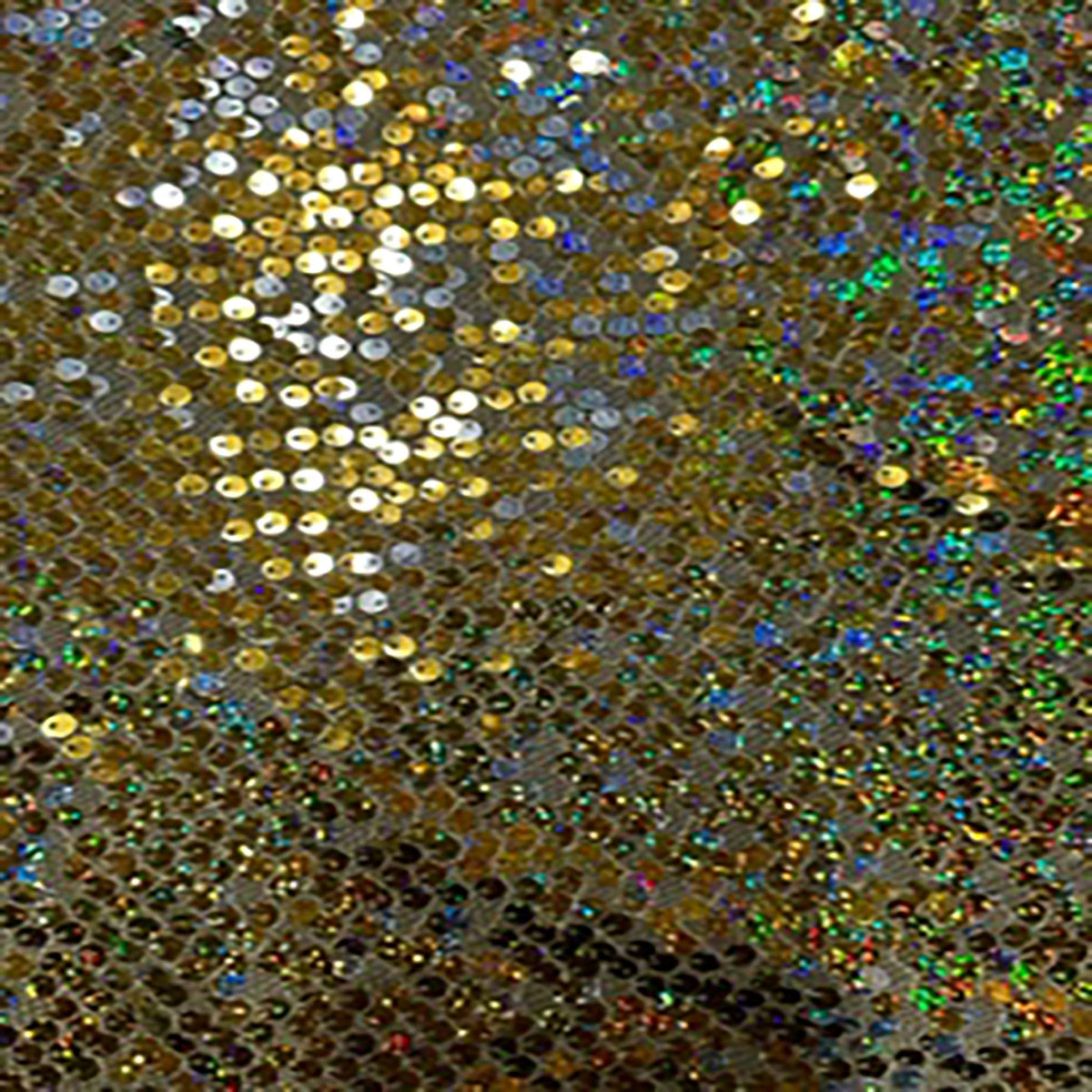 Sequin Flipper Mesh on Polyester Fabric | Spandex Palace