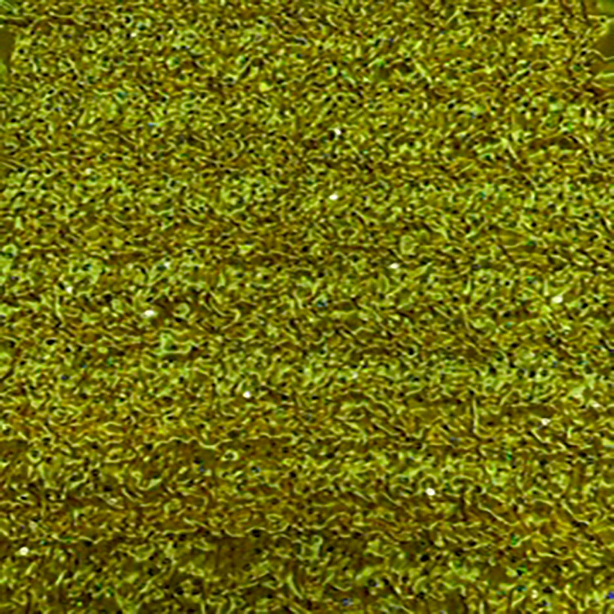 Satin Curly Sequins Poly Mechanical Stretch Fabric | Spandex Palace