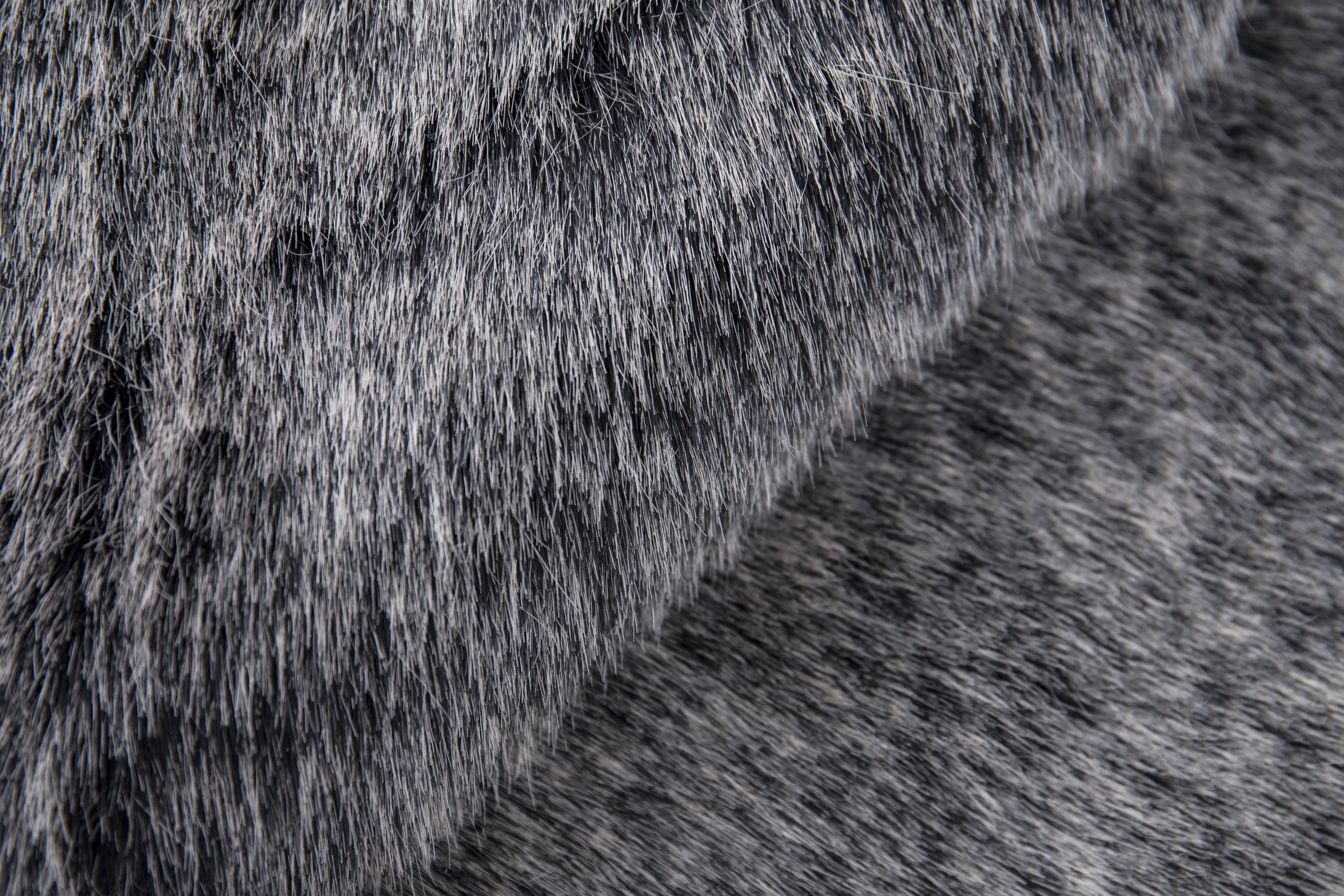 Renne Area Rug/Bed Cover Collection