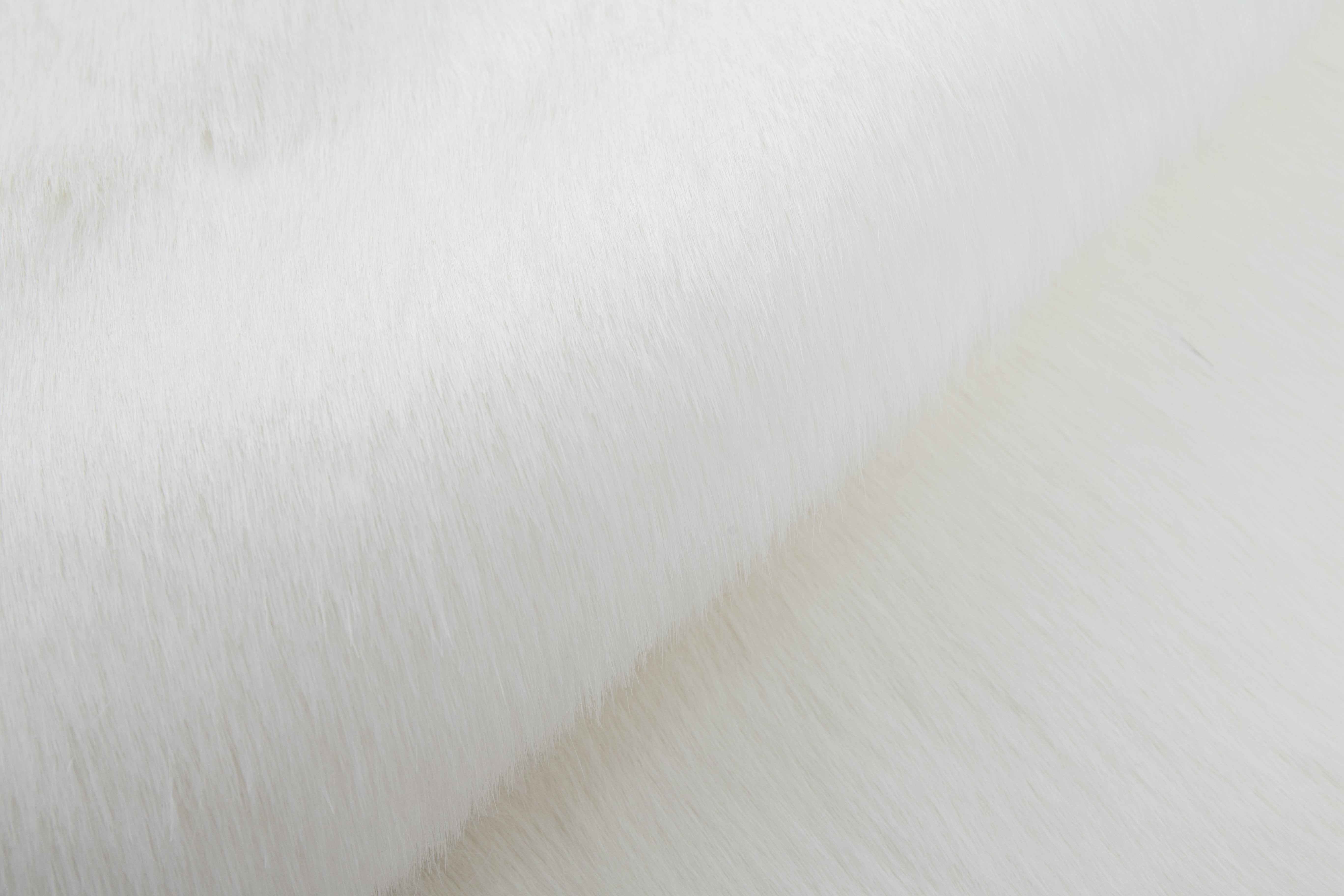 Renne Area Rug/Bed Cover Collection