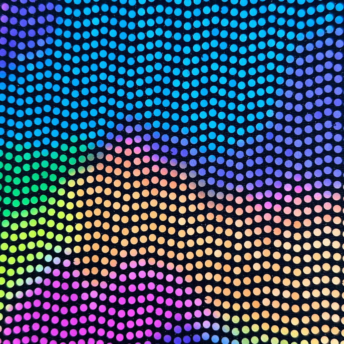 Sequin Neon Trans Nylon Metallic Stretch Fabric |Spandex Palace