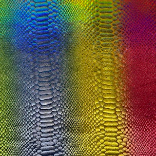 Snake Radiant Rainbow Poly Spandex Stretch Fabric | Spandex Palace
