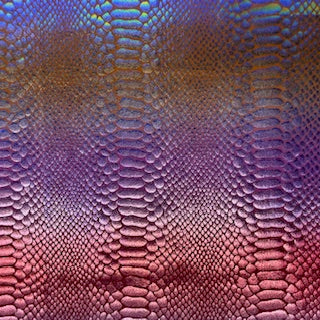 Snake Radiant Rainbow Poly Spandex Stretch Fabric | Spandex Palace