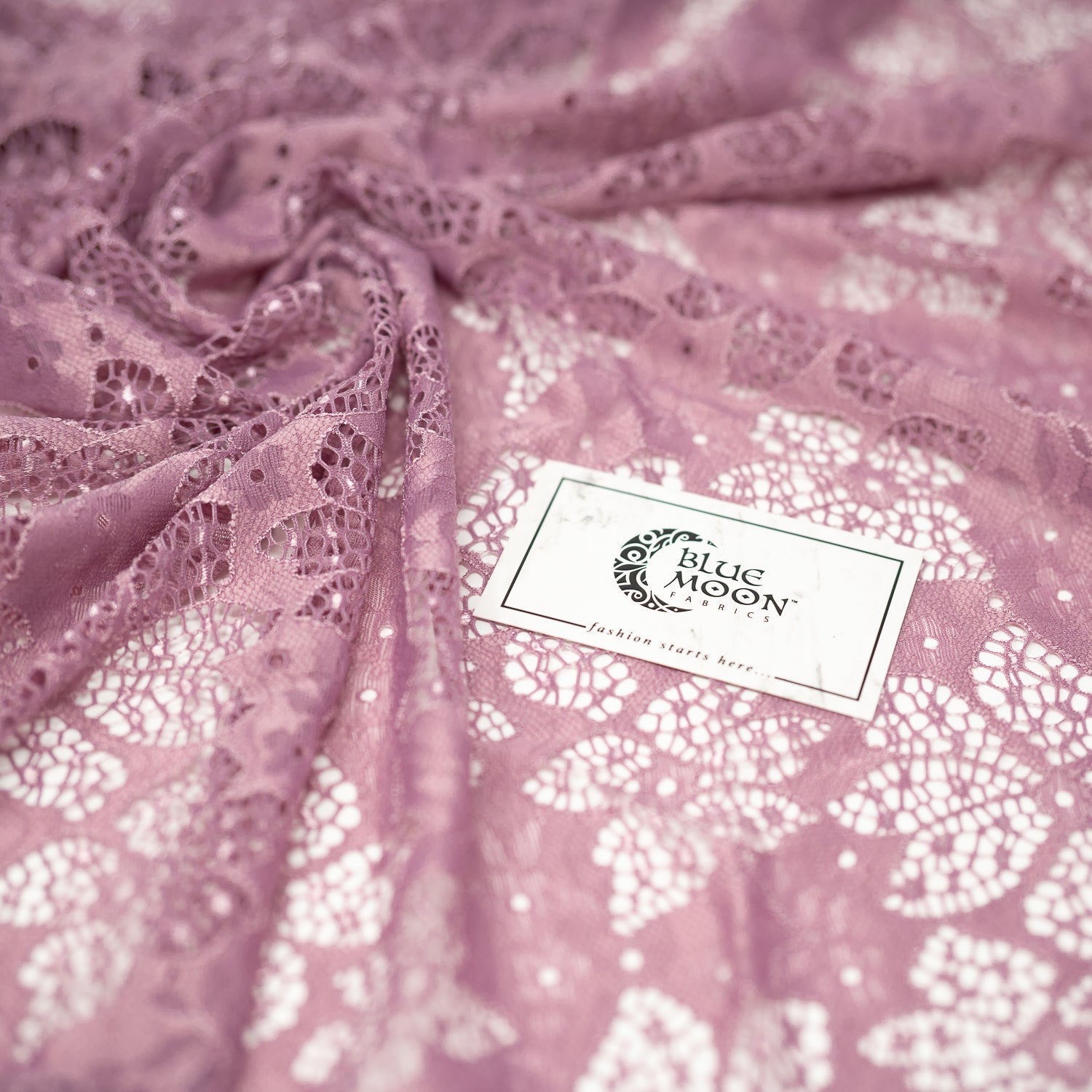 Meghan Stretch Lace Fabric | Blue Moon Fabrics
