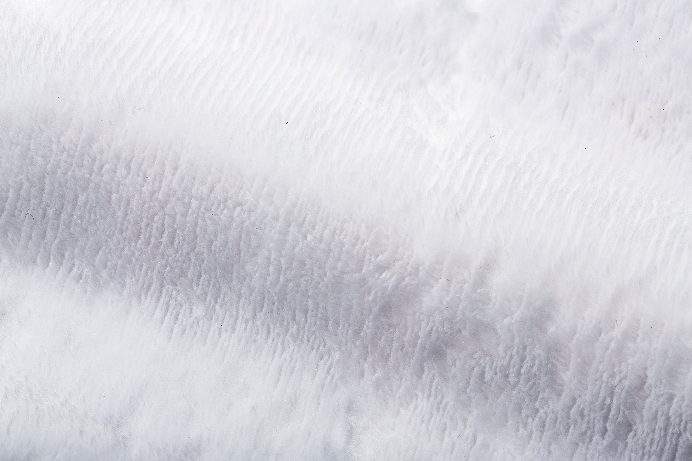 Print Your Own Fabric Design